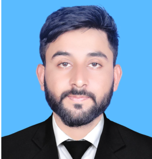 Mehdi_Freelancer1214-Freelancer in Rawalpindi,Pakistan