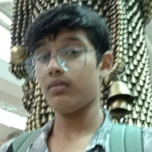 Avi chaudhary-Freelancer in Ghaziabad,India