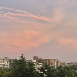 Gamit Minal-Freelancer in Surat,India