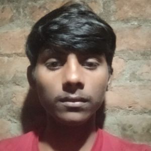Prince Maurya-Freelancer in Surapur,India