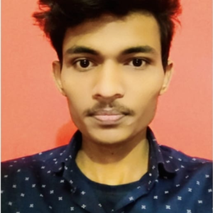 Md Sabih Nasar-Freelancer in New Delhi,India