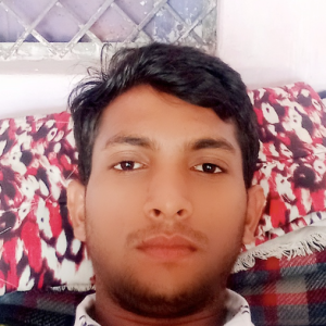 Bablu Kumar-Freelancer in Lucknow,India