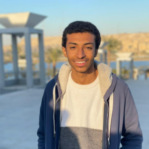 Mohammed Hossam-Freelancer in Cairo,Egypt