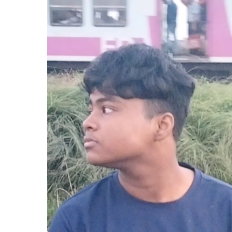 Bibek Biswas-Freelancer in Bangaon,India