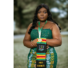 Vera Owusu Kwankye-Freelancer in Dominase,Ghana