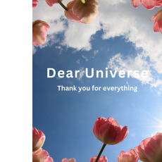 Gekhen-Freelancer in Gangtok,India