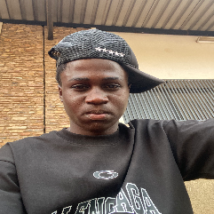 Nelson Lomboto-Freelancer in Lubumbashi,Democratic Republic of Congo