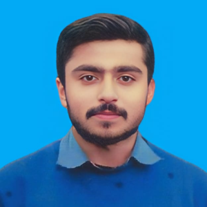 Ali Hussain-Freelancer in Jhang,Pakistan
