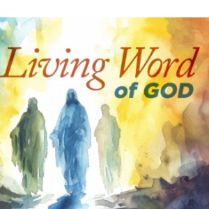 Pravina Masapogu-Freelancer in Mumbai,India