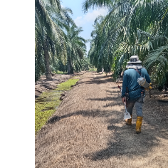 Kasyah Khazali-Freelancer in Kuala Lumpur,Malaysia