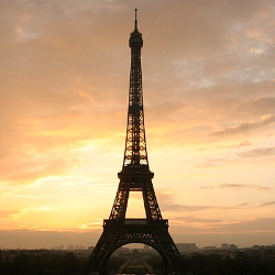 Anand Wankhade-Freelancer in Amravati, Maharashtra,India