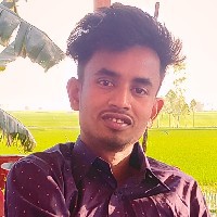 LeadGenRakib-Freelancer in Bogra,Bangladesh