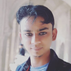 Kaifee Ansari-Freelancer in shahada,India