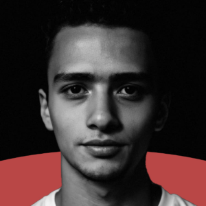 Seif Fox-Freelancer in el mahalla el kubra,Egypt