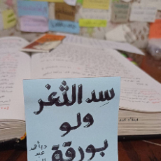 هدى المسارع-Freelancer in Cairo,Egypt