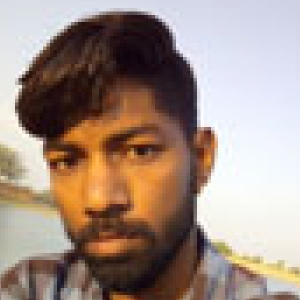 Mukesh Prajapat-Freelancer in NAGAUR,India