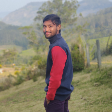 Thiruna-Freelancer in Rasathivalavu,India