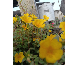 Chaudhari Parth-Freelancer in Kolakui,India