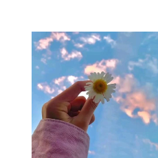 Tayyaba Raffique-Freelancer in Lahore,Pakistan