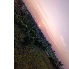 Traditional Tamil-Freelancer in Dharmapuri,India