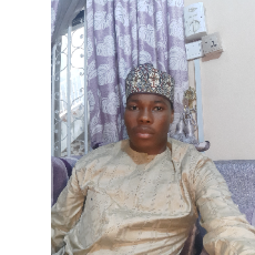 Ahmad Abdulhamid-Freelancer in Kano,Nigeria