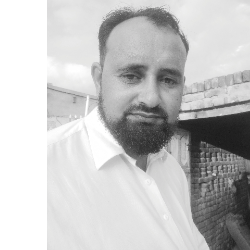 Mudssar Iqbal-Freelancer in MANDI BHAWODIN,Pakistan