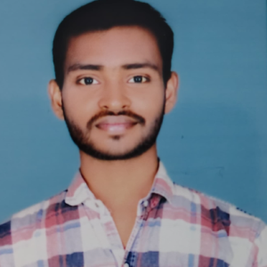 Ravi Kumar-Freelancer in Patna,India