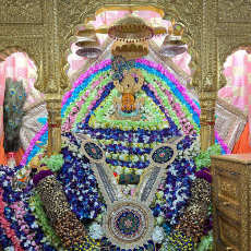 ANUJ KUMAR PANDEY-Freelancer in GORAKHPUR,India