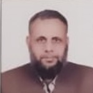 Mohd Tarique Jamal-Freelancer in New Delhi,India