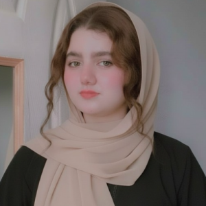 Areeba Sultan-Freelancer in Sialkot,Pakistan