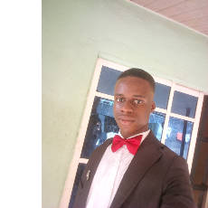 Melix Austine-Freelancer in Port Harcourt,Nigeria