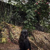 Riddhi Korat-Freelancer in Ahemdabad,India