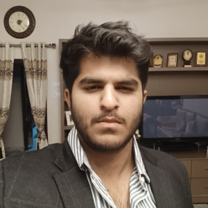 Anchit Dhiman Work-Freelancer in Radiala,India