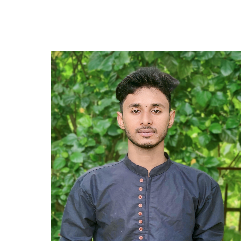 Ak Zillani-Freelancer in Raiganj,India