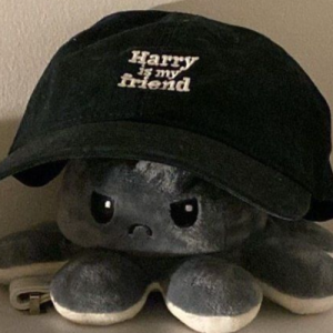 Khairun Nisa-Freelancer in banda aceh,Indonesia