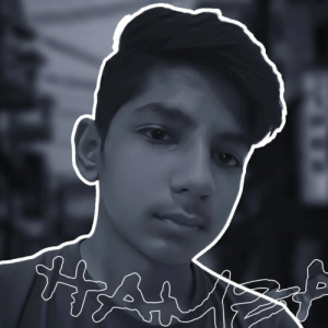 Hamza Rajpoot-Freelancer in Sahiwal,Pakistan