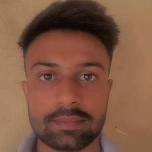 Arshdeep Parjapty-Freelancer in Ludhiana,India