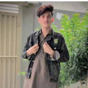 Hassan Abbas-Freelancer in Gilgit Baltistan,Pakistan