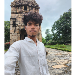 Bhavesh Thakur-Freelancer in Bhopal,India