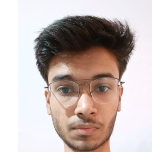 Utsav Chaudhry-Freelancer in Dehradun,India