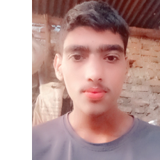 Shahid Deshmukh-Freelancer in Akola,India