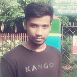 Md Ariful Islam-Freelancer in Dhaka,Bangladesh