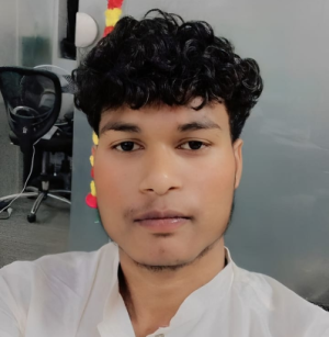 Pushpraj Verma-Freelancer in Fatehpur,India