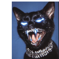 Pranay Jadhav-Freelancer in Pune,India