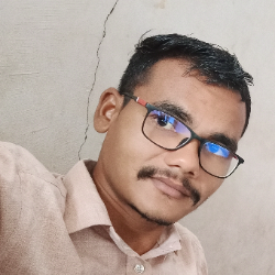 Shailesh Vasava-Freelancer in RAJPIPLA,India