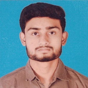 Bhavesh Borse-Freelancer in Pune,India