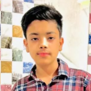 Aman Beig-Freelancer in New Delhi,India