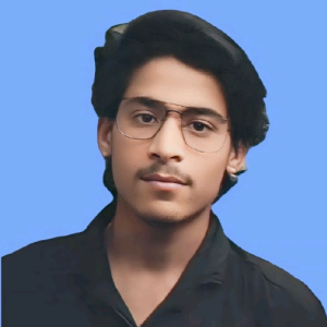 Karan sain-Freelancer in Jodhpur,India