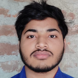 Ankit Kumar-Freelancer in bettiah,India