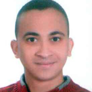 Ahmed Ismail-Freelancer in alexandria,Egypt